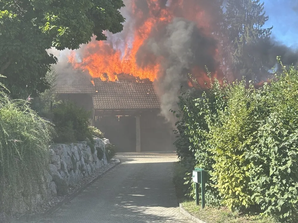 Das Dach eines Hauses steht in hellen Flammen, während dichter schwarzer Rauch aufsteigt. Umgeben von grünem Buschwerk und Bäumen.