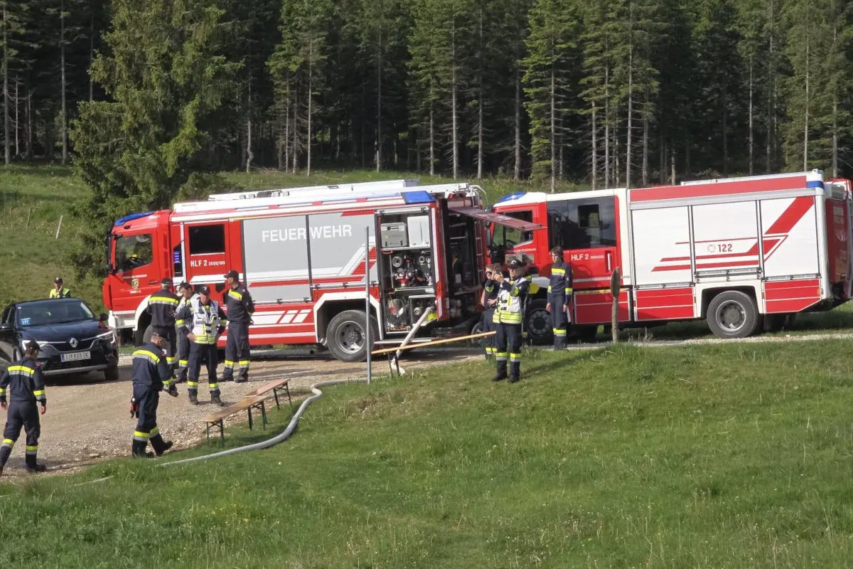 Zwei Feuerwehrfahrzeuge parken auf einer ländlichen Straße, umgeben von Einsatzkräften in Uniformen vor einem Waldhintergrund.