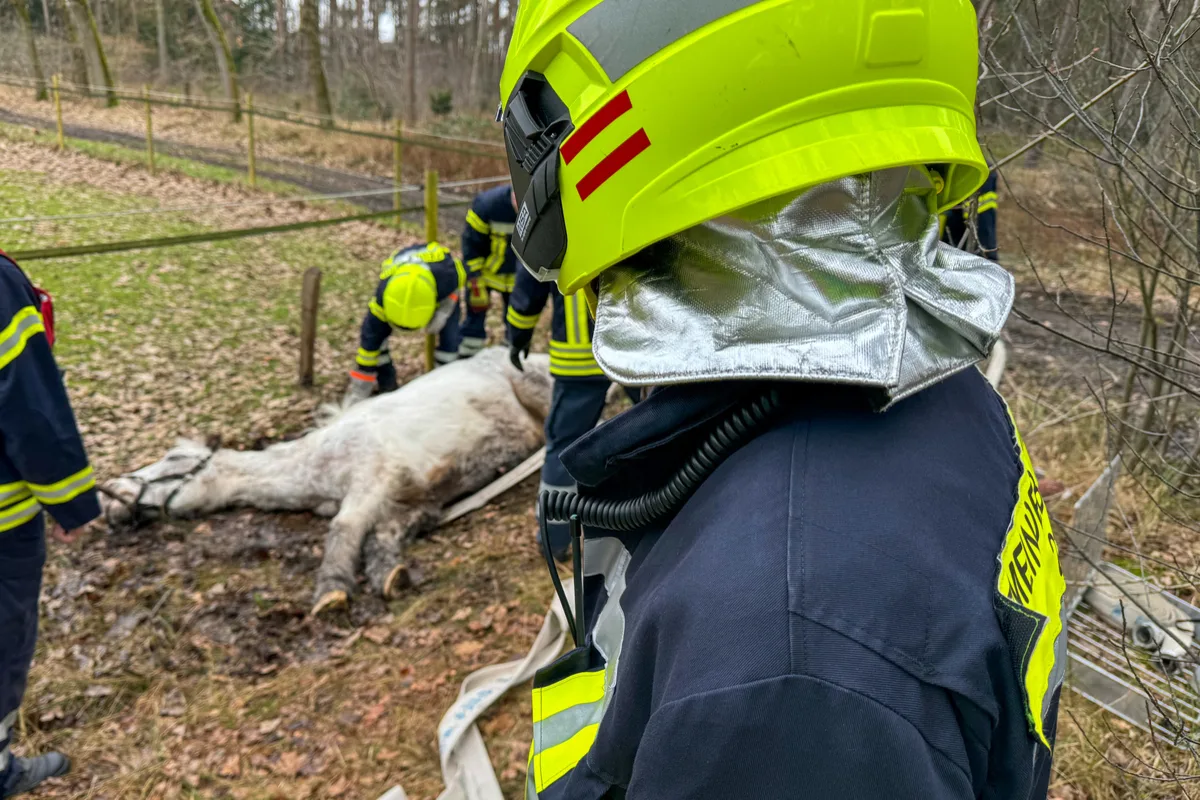 Nienhof NI - Feuerwehr befreit Pferd aus misslicher Lage 
