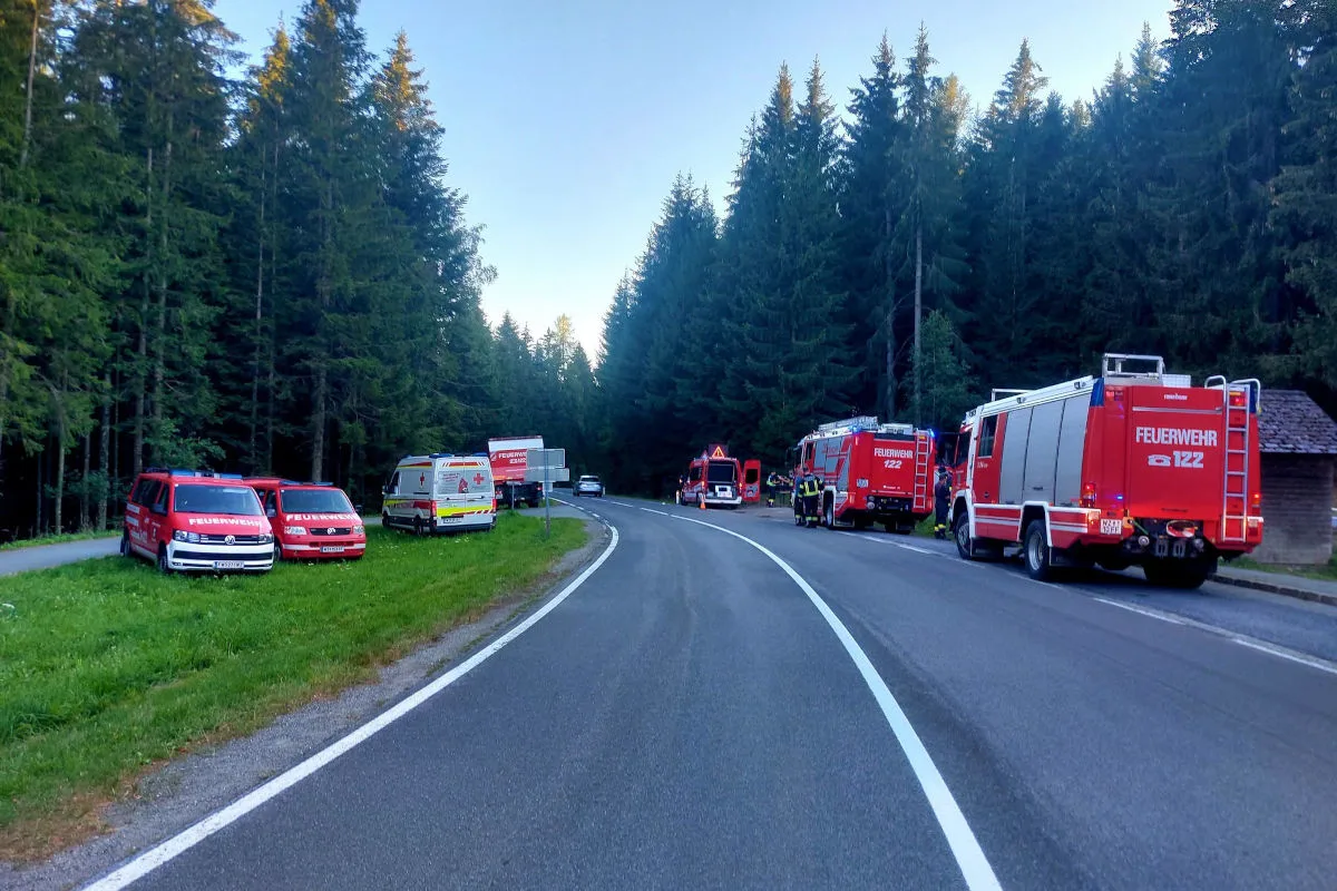 Mehrere rote Feuerwehrfahrzeuge sind auf einer Straße am Waldrand geparkt. Straßenmarkierungen und Wald im Hintergrund sichtbar.