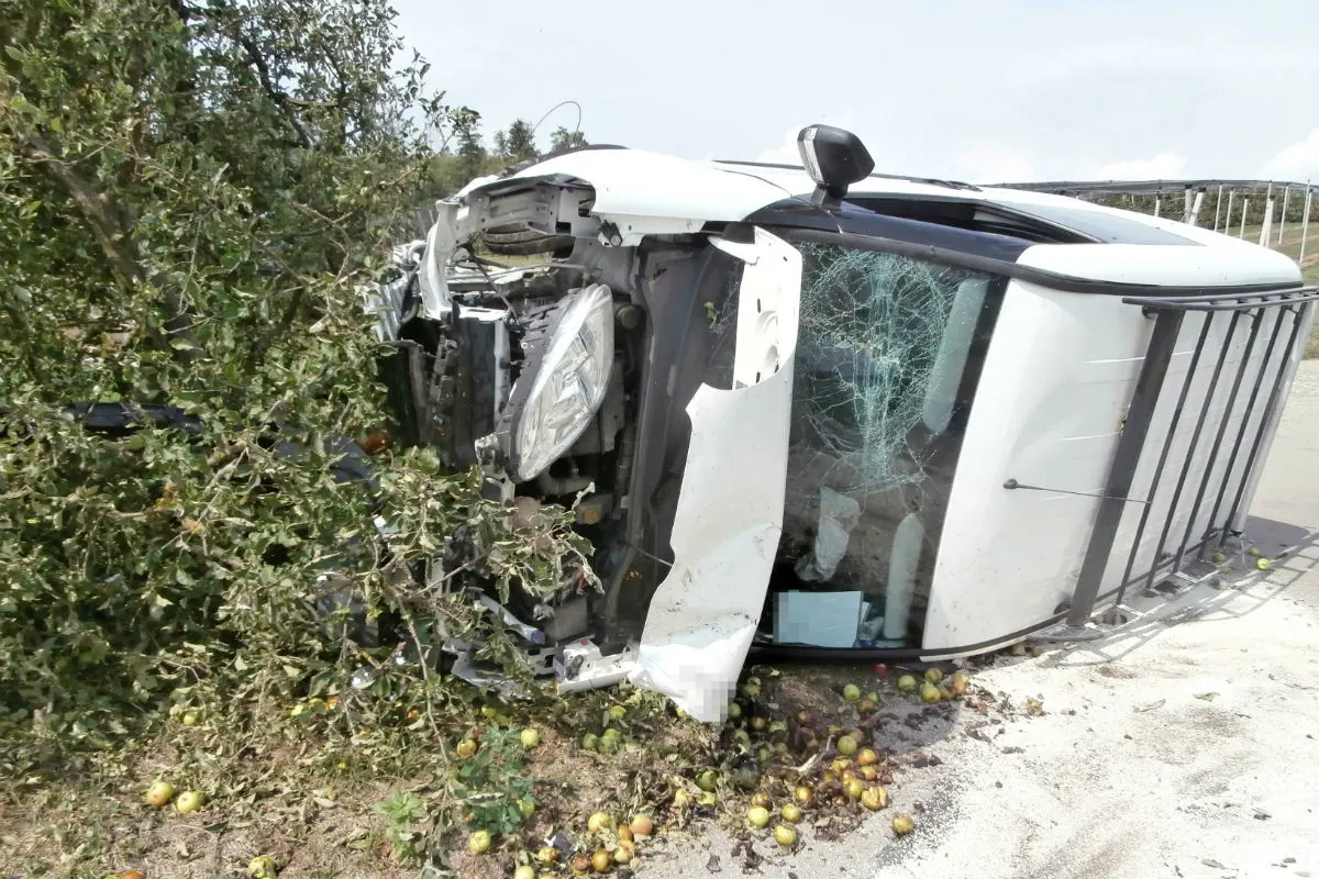 Uerschhausen TG - Lieferwagenfahrer prallt in Baum