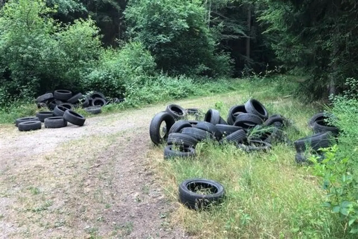 Queidersbach RP - Illegale Entsorgung von Autoreifen 