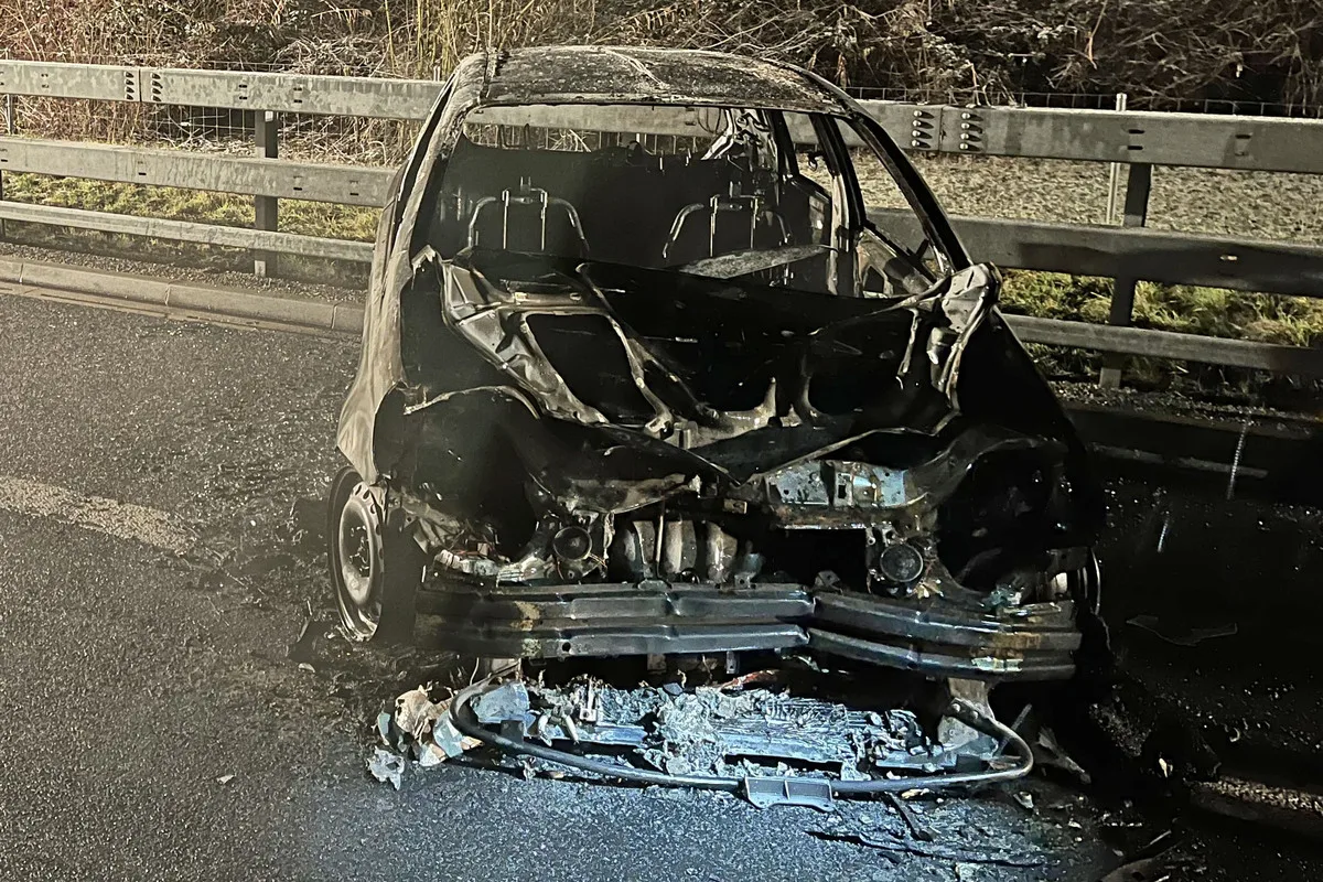 Unfälle in Root/Luthern LU - Auto ausgebrannt - Mit Baum kollidiert