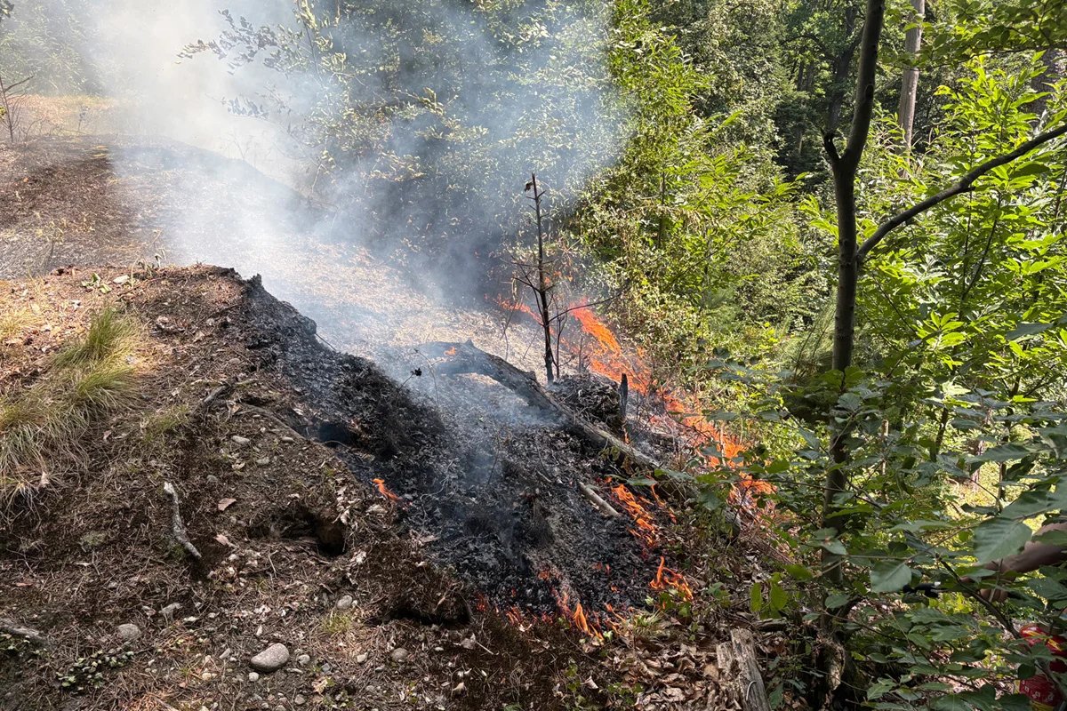 Ein Bodenfeuer verursacht Rauch und Flammen in einem bewaldeten Gebiet. Die Vegetation ist teilweise verbrannt.