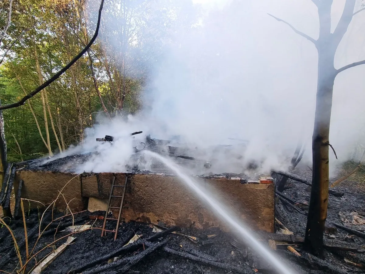 Dichter Rauch steigt aus den Überresten eines abgebrannten Gebäudes in einem Wald auf. Verkohlte Baumstämme sind zu sehen.