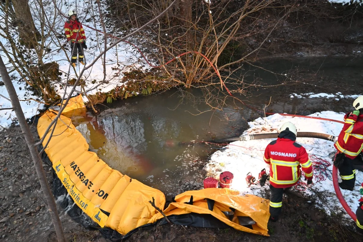  Mühlrüti SG - Rund 1000 Fische wegen Gülle verendet