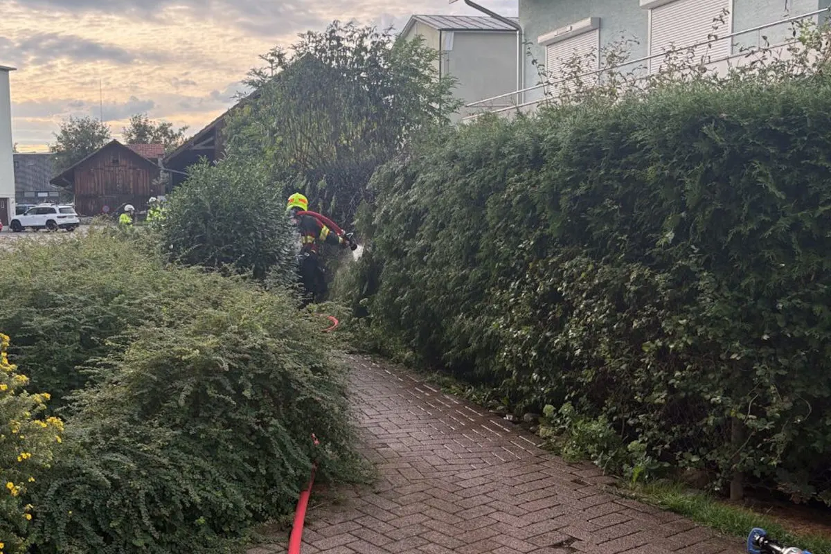 Im Bild ist ein Feuerwehrmann zu sehen, der mit einem Schlauch in einem buschigen Garten arbeitet. Im Hintergrund sind weitere Einsatzkräfte und ein Feuerwehrauto zu erkennen.