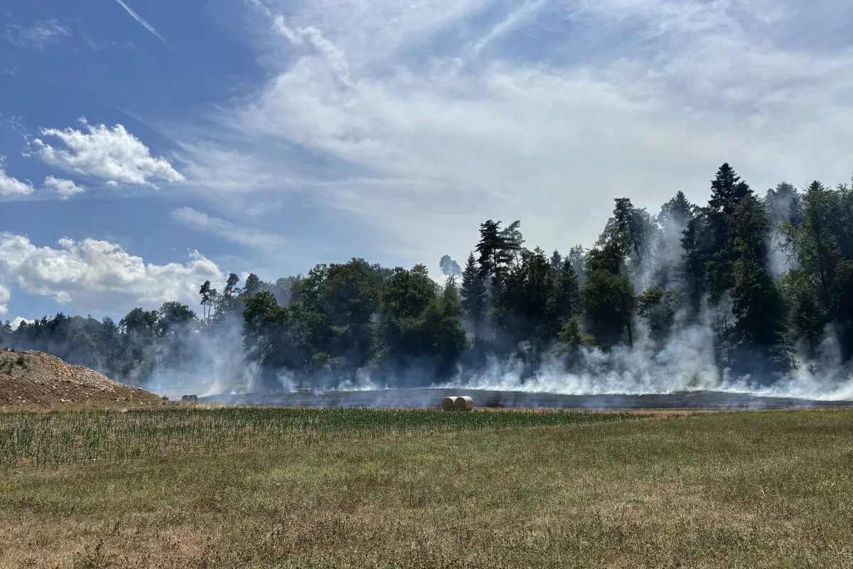 Aufgrund der Trockenheit breitete sich das Feuer schnell auf das Waldgebiet aus.