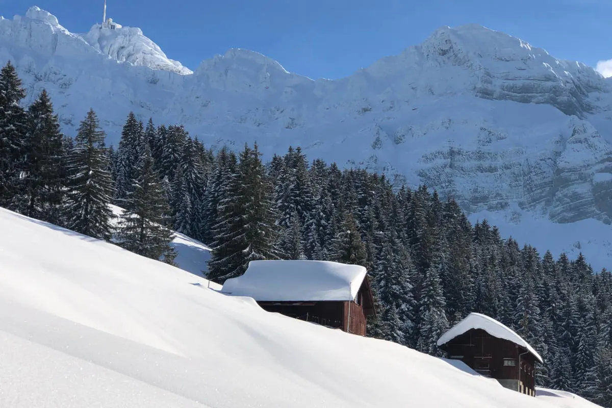 Die nächste Woche wird winterlich mit Schneegestöbern