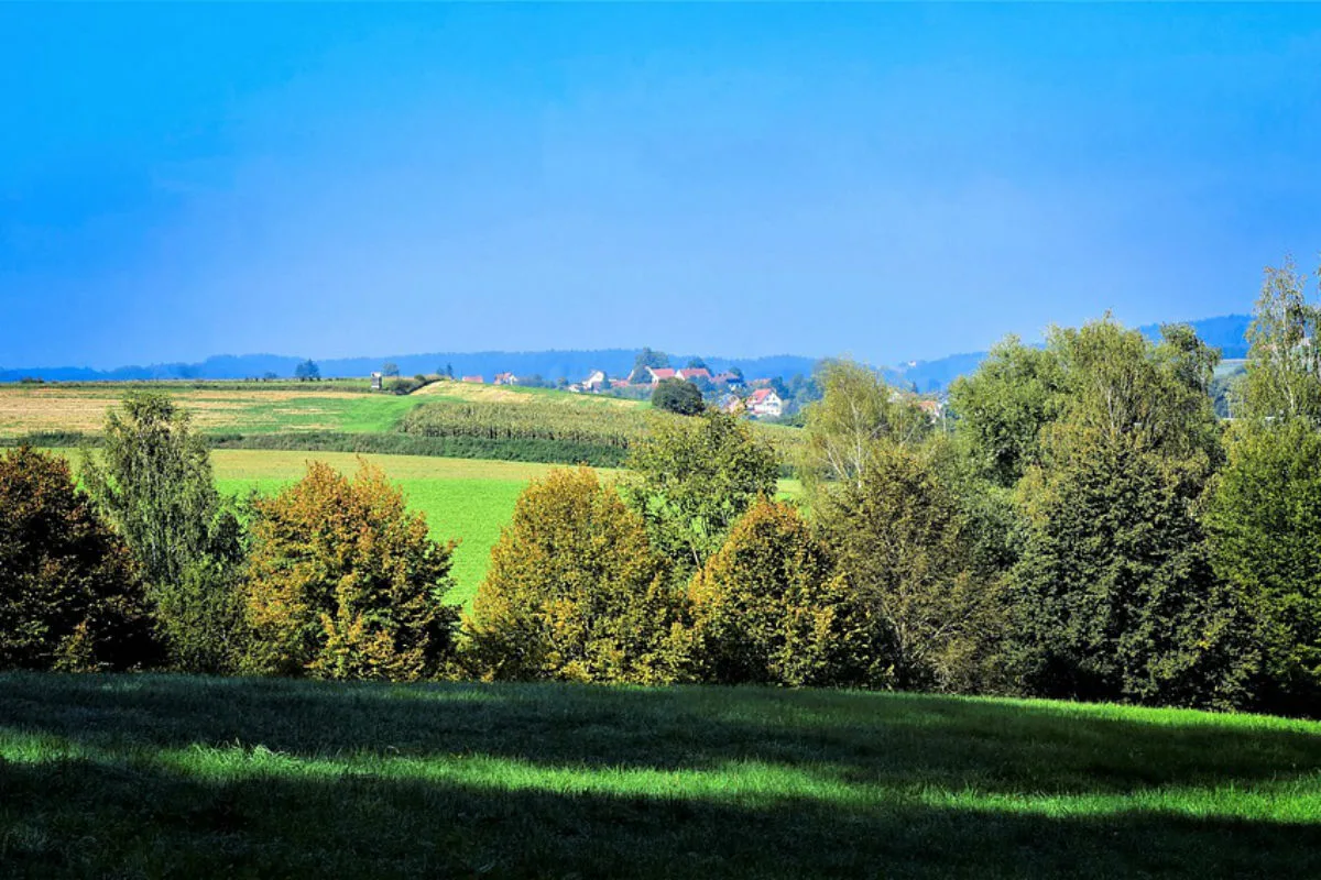 Goldener Oktober bringt Sommergefühle