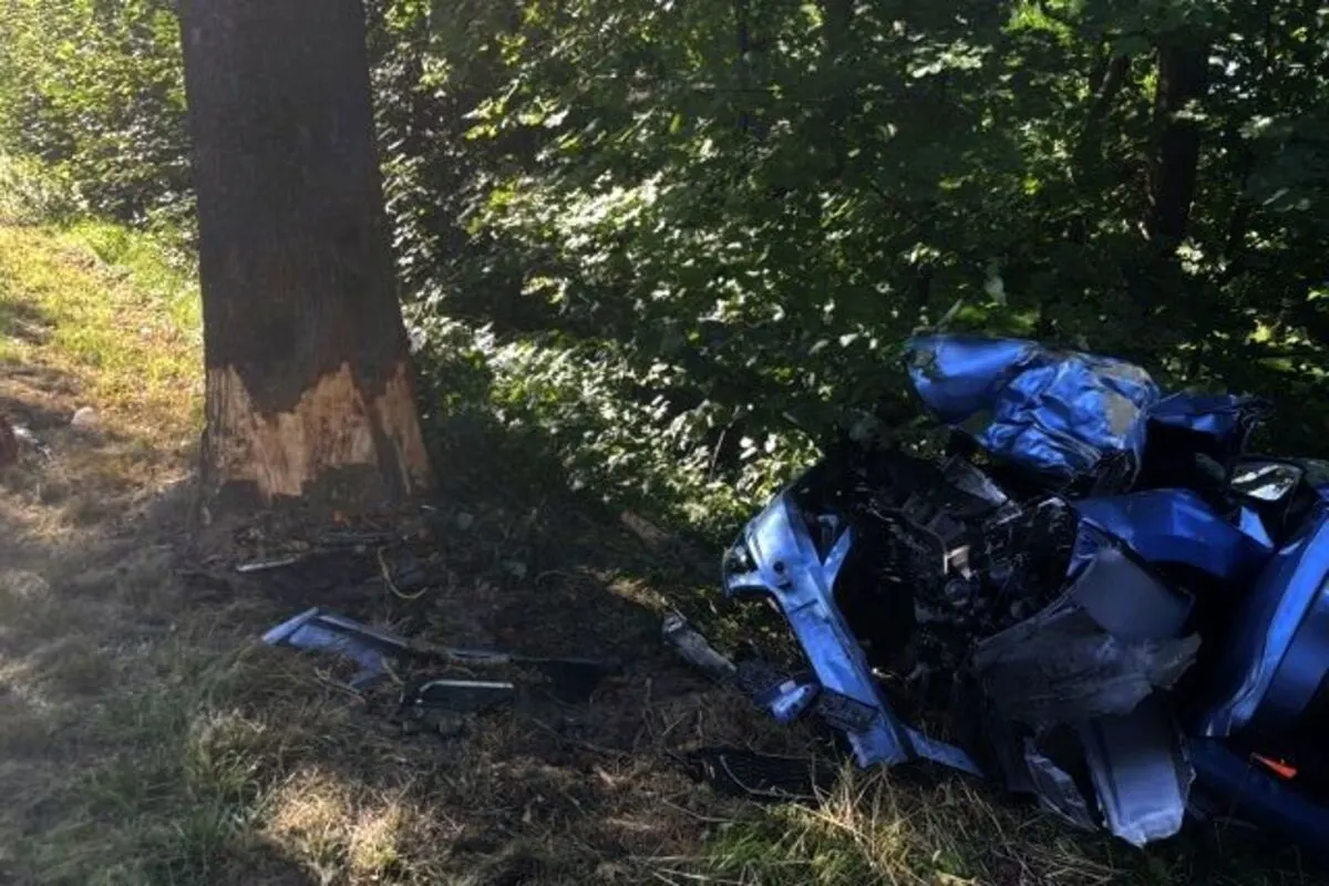 Gemarkung Freiburg - Tödliche Kollision mit einem Baum 