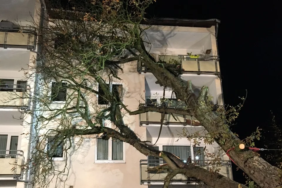 Feuerwehr knapp 6 Stunden im Einsatz in Norderstedt – Massiver Baum stürzt auf Haus und beschädigt es