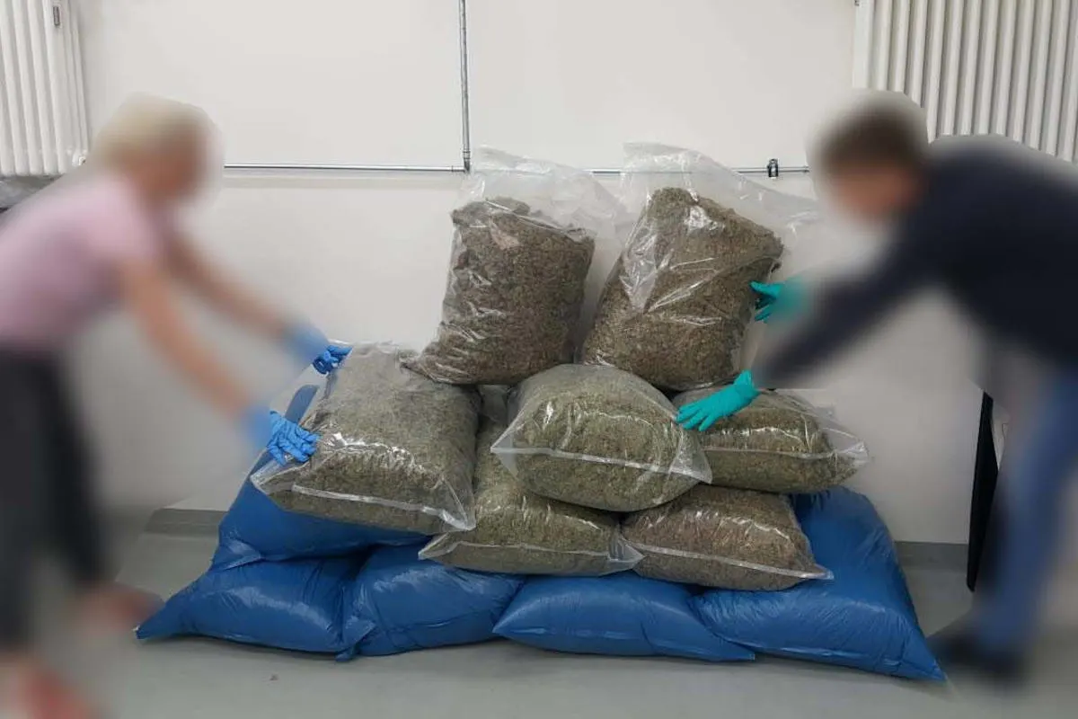 Murr – Kriminalpolizei stellt 65,5 kg Marihuana sicher