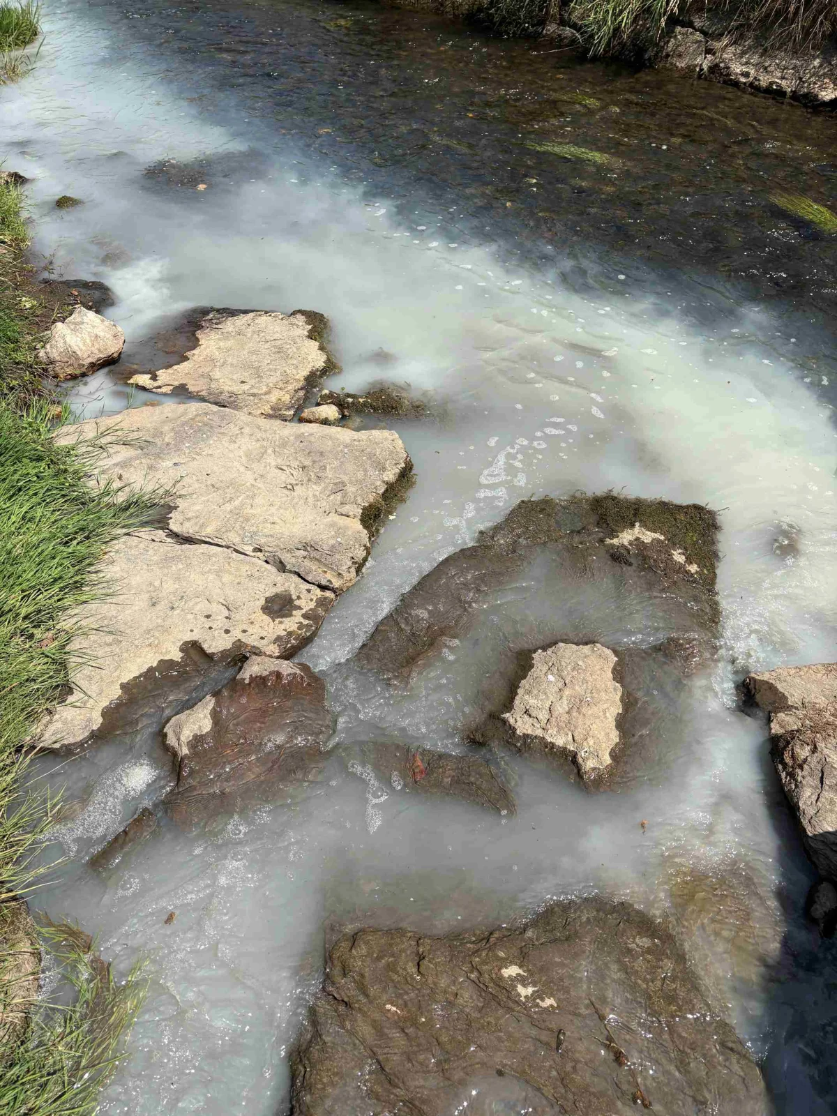 Ein Bachlauf zeigt eine milchig-weiße Verfärbung des Wassers durch eine unbekannte Substanz. Der Bach fließt zwischen Steinen und Grasbüscheln hindurch.