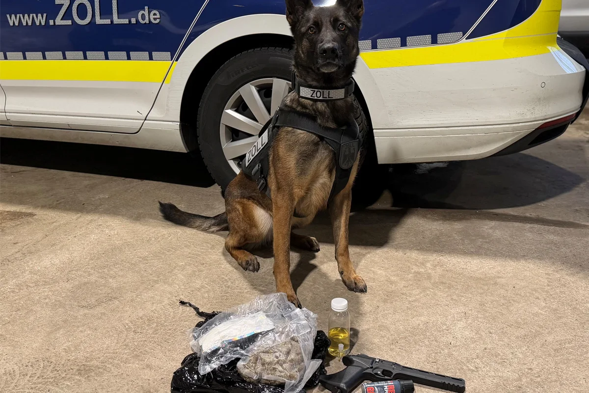 A2 Bielefeld – Zollhund „Skadi“ erschnüffelt Drogenversteck