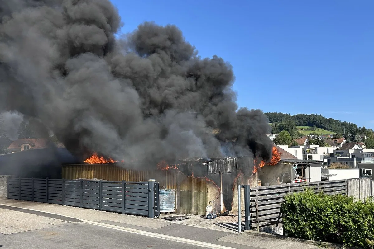 Beinwil am See AG - Brand löst Grossaufgebot der Feuerwehr aus