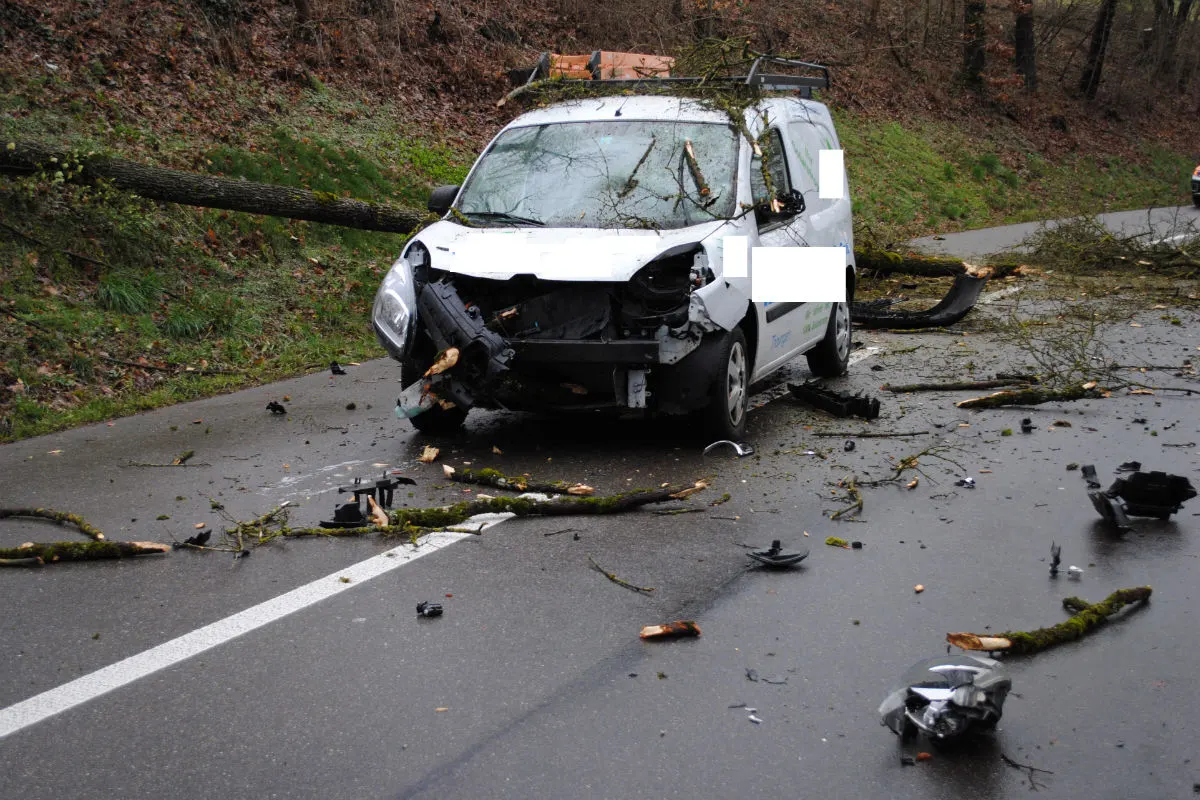 Thayngen SH - Baum stürzt auf Auto