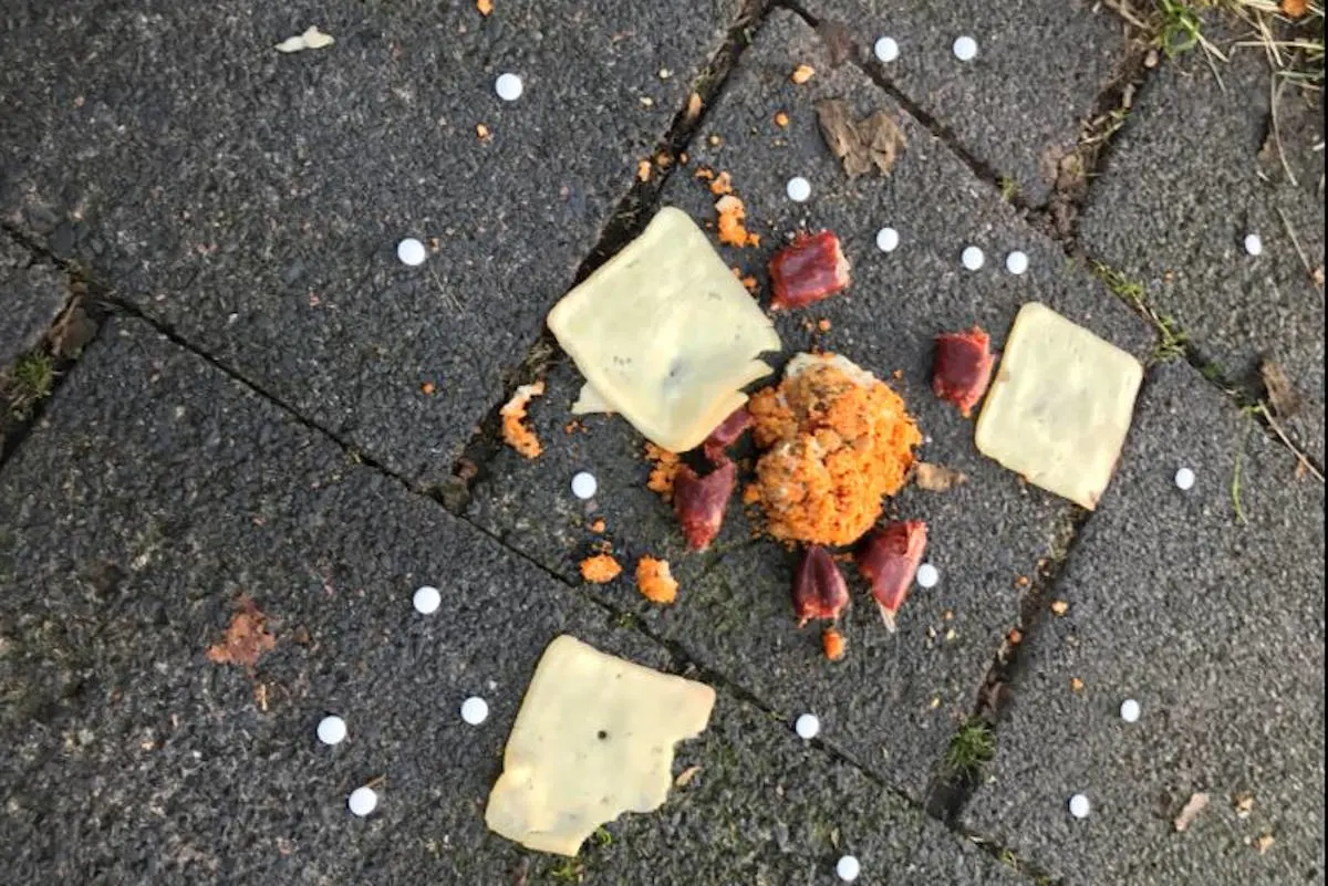 Kaiserslautern - Ausgelegter Giftköder festgestellt