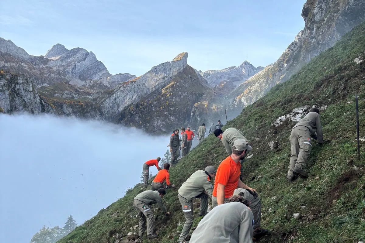 Mehrere Personen in Orange und Khaki-Kleidung arbeiten am steilen Hang eines Berges in den Alpen. Es ist neblig, und im Hintergrund sind markante Felsformationen zu sehen.