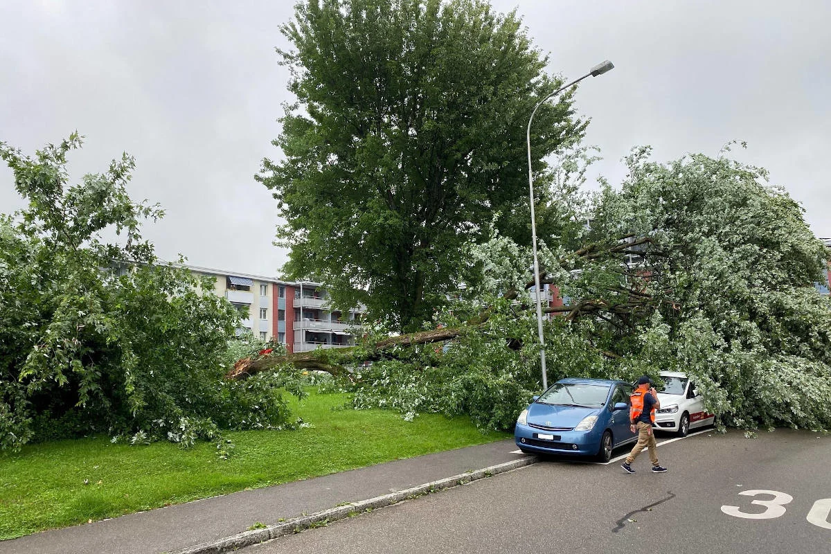 Stadt Zug – Baum stürzt auf Spielplatz und Autos