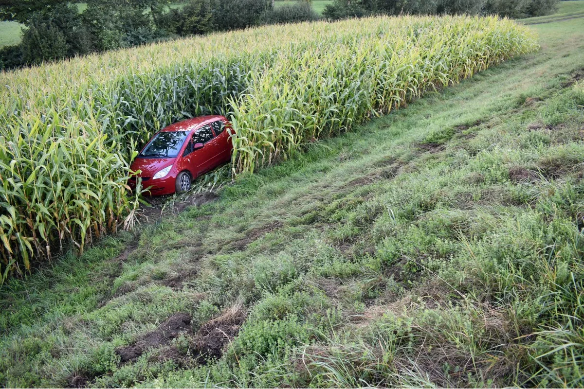 Unfall gestern in St. Urban LU - Auto landet im Maisfeld – Lenker unter Alkoholeinfluss