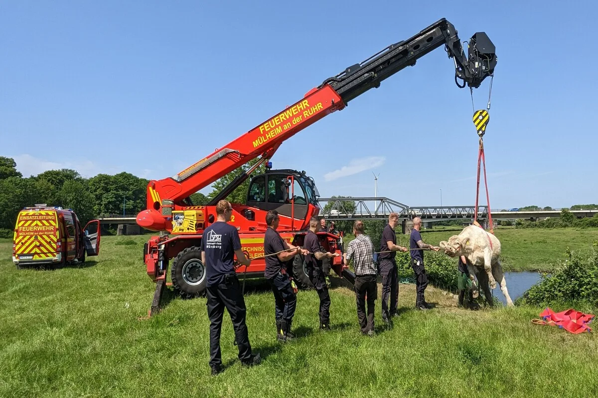 Mülheim an der Ruhr - Feuerwehr rettet eine Kuh