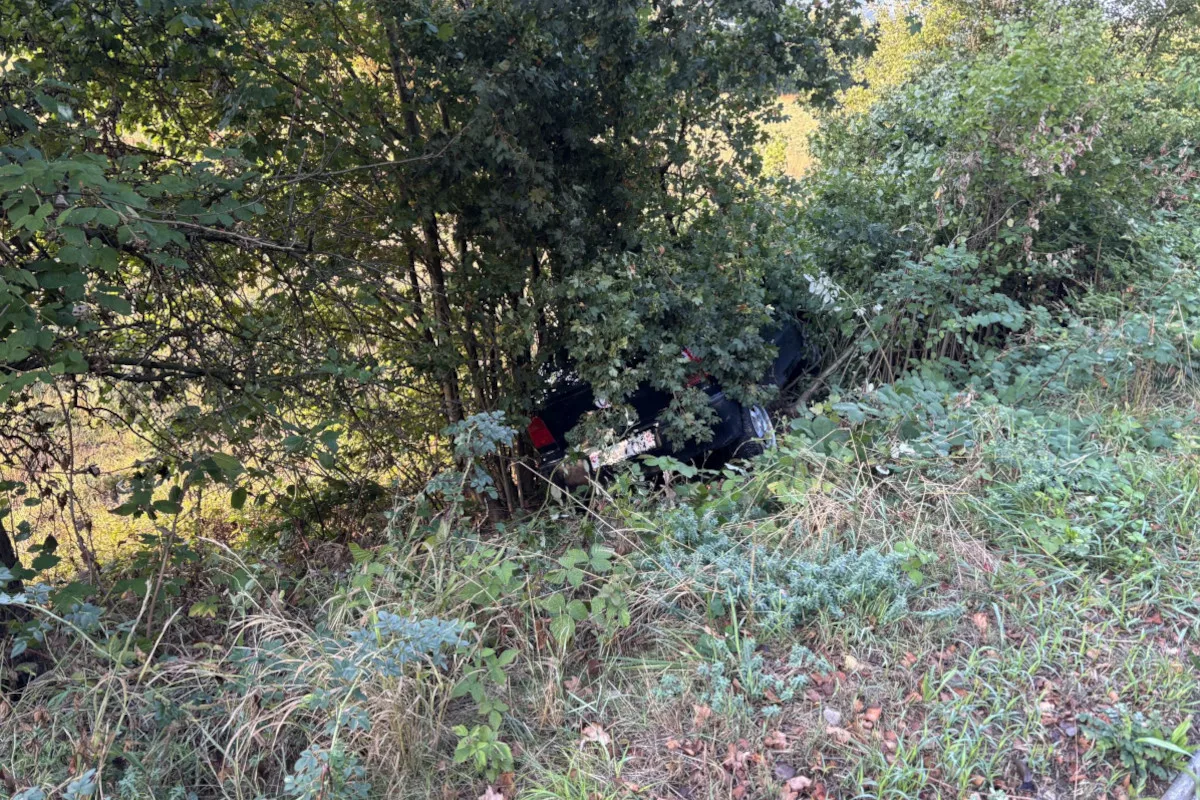 Ein dunkles Auto liegt nach einem Unfall im Gebüsch abseits der Straße. Es ist von dichtem Laubwerk umgeben.