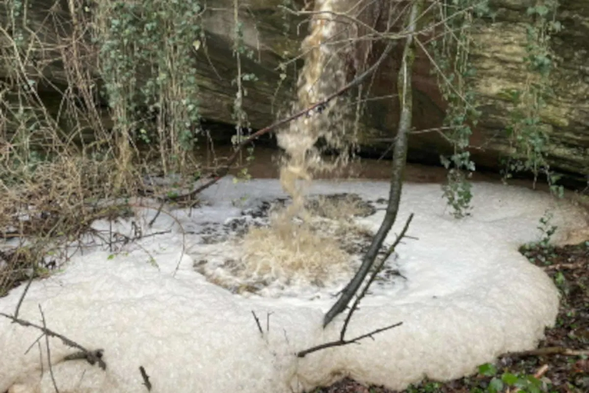Châbles FR – Verschmutzung des Baches «Crêt Moron»