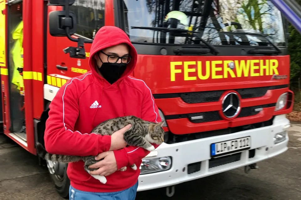 Tierrettung in Detmold – Katze kommt nicht mehr vom Baum herunter
