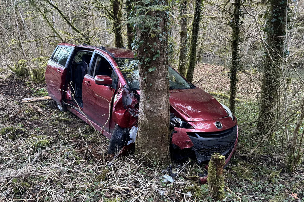 Selbstunfall in Röschenz BL – Alkoholisierter Autolenker kommt von Strasse ab