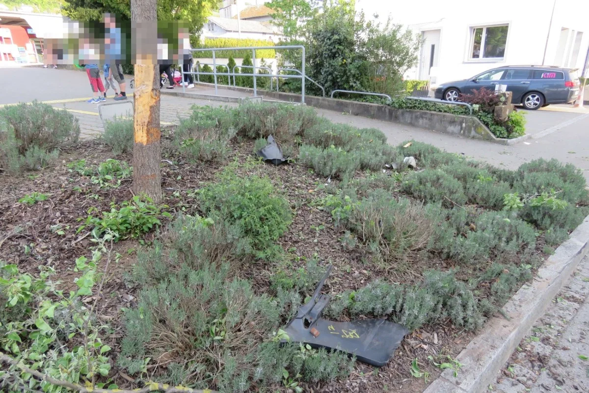 Döttingen AG - Neulenker fährt in Baum und macht sich davon