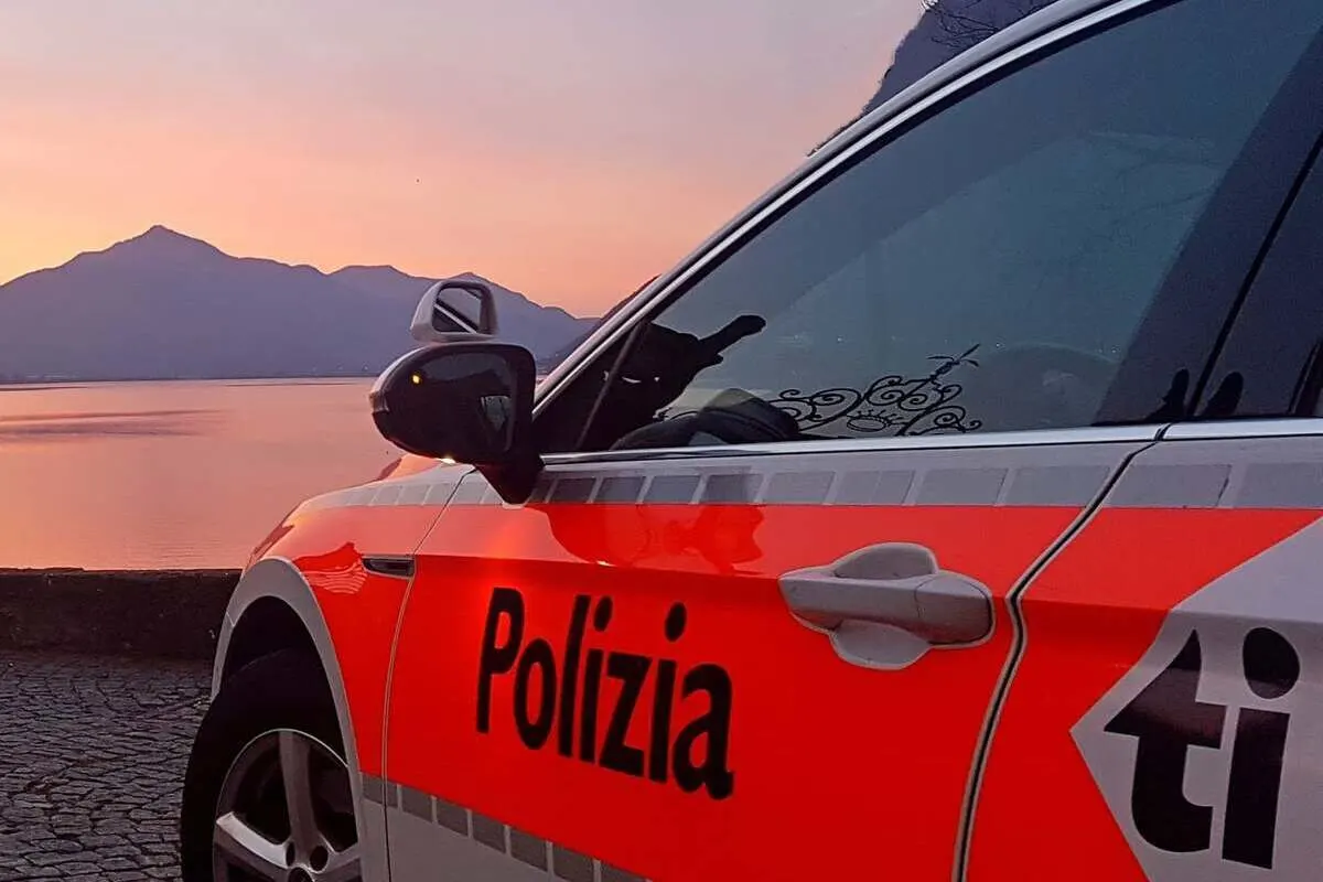 Camorino TI - Brand in Garage
