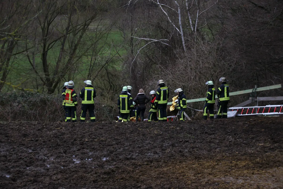 Pferd stürzt Abhang hinunter