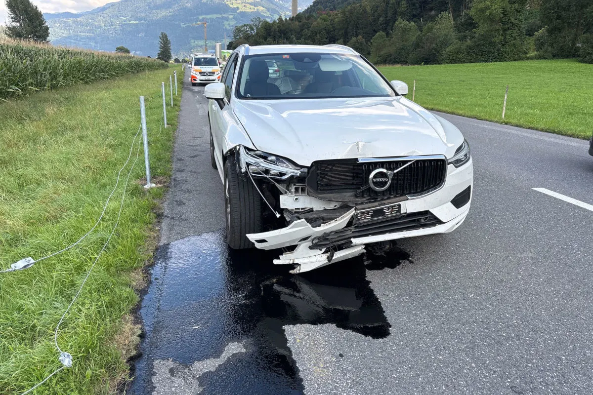 Bilten GL – Unfall wegen Wespe im Auto