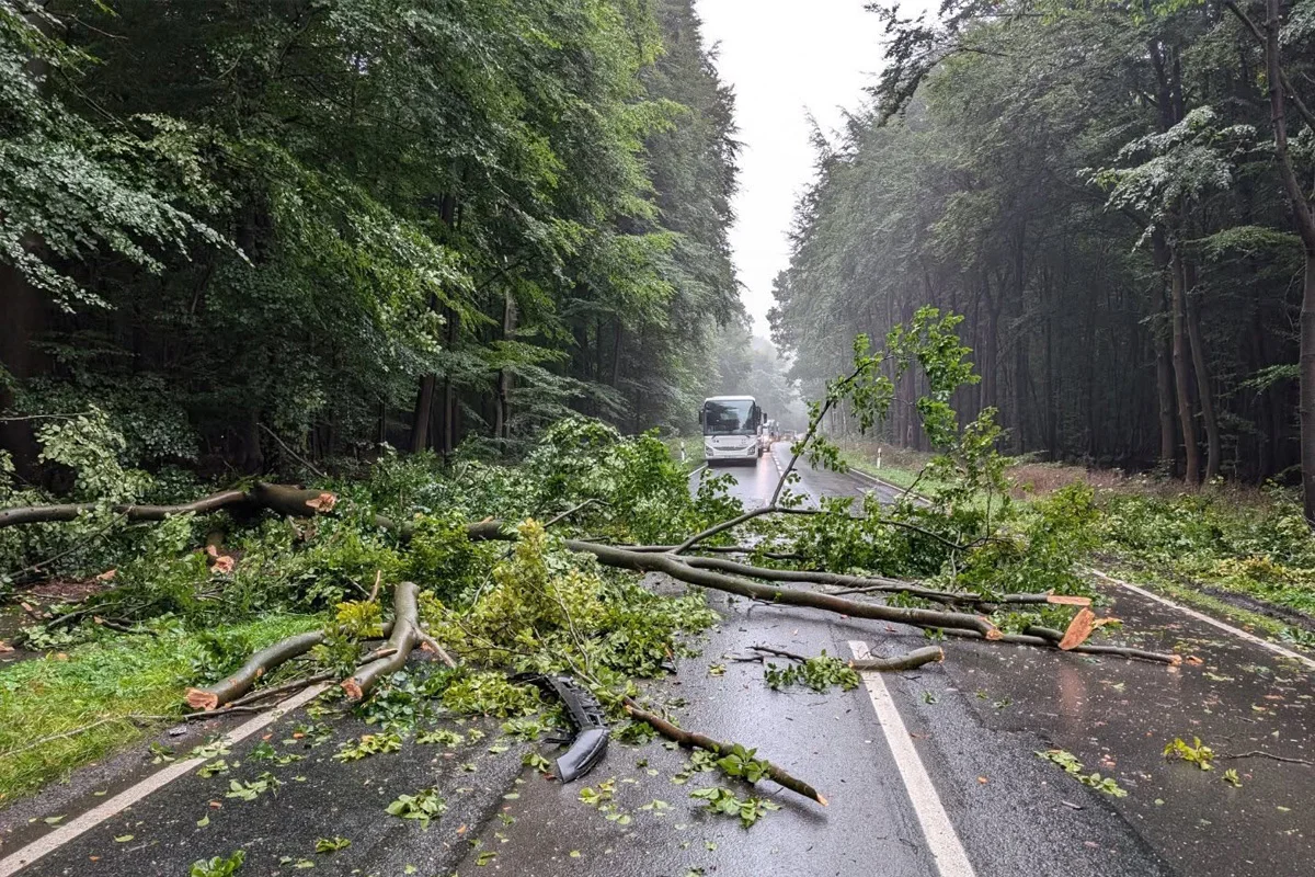 Rotenburg NI – Ast durchschlägt Windschutzscheibe von Pkw