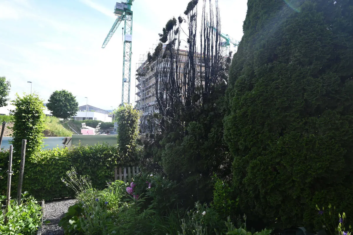 Niederuzwil und Bronschhofen SG – Thuja-Hecken in Brand geraten