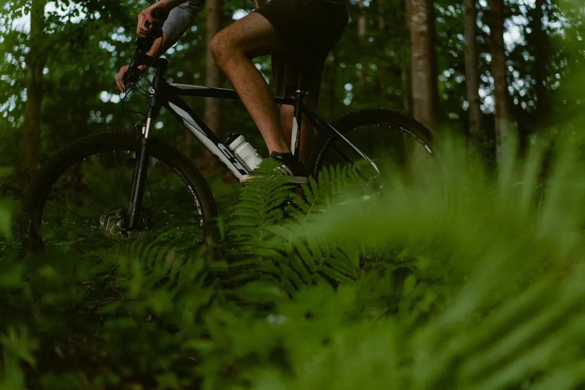 Scheibbs NÖ – Mountainbiker stürzt in Fluss