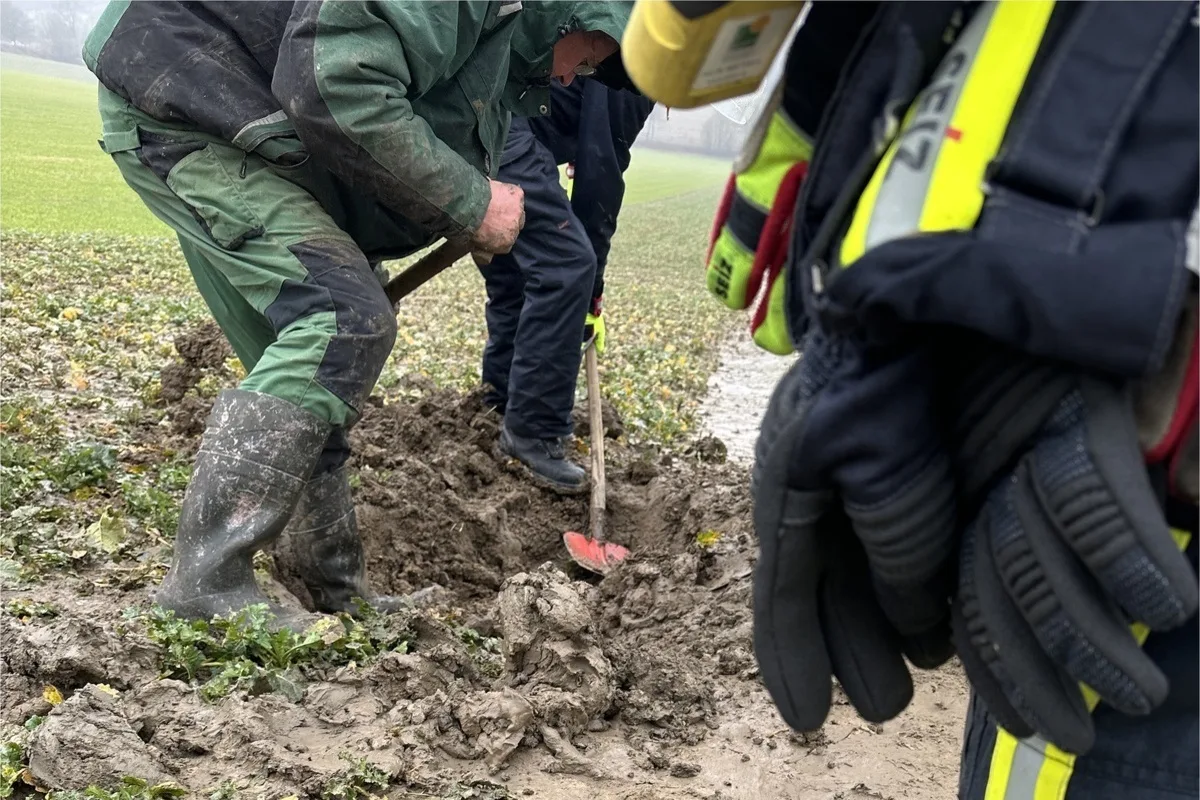 Horn-Bad Meinberg NW - Feuerwehr befreit Dackel aus misslicher Lage
