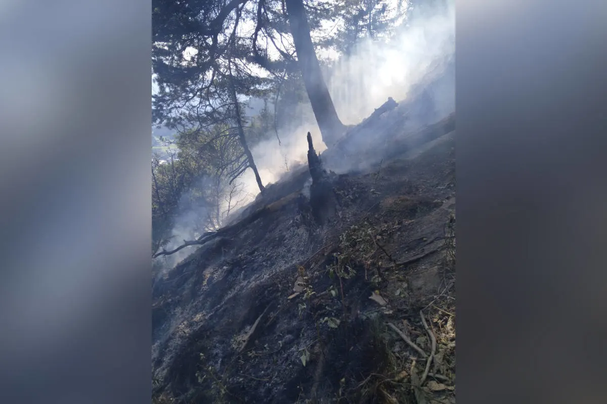Cazis GR – Flurbrand in unwegsamen Gelände