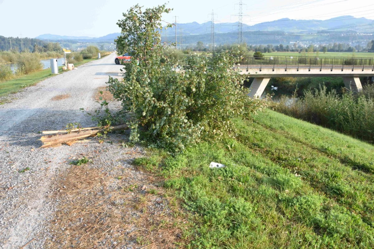 Selbstunfall auf dem Linthdammweg in Benken SG -  Unfallfahrzeug fuhr in Baum und danach weiter - Die Polizei sucht Zeugen