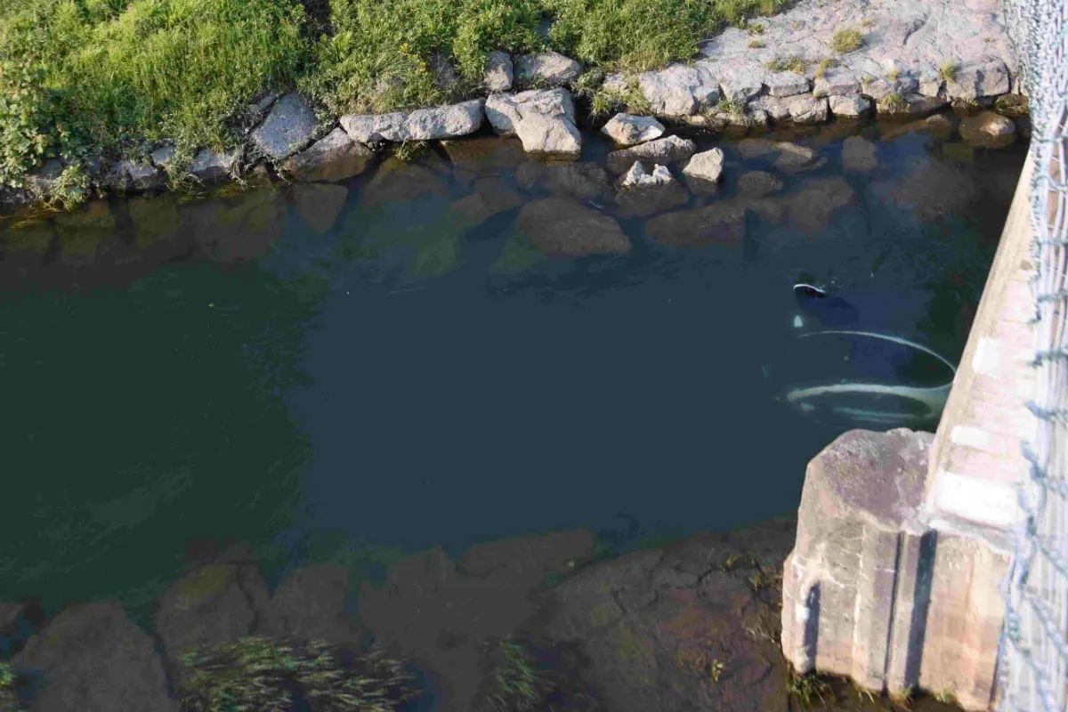 Rüthi SG - Elektrofahrzeug in Binnenkanal versunken
