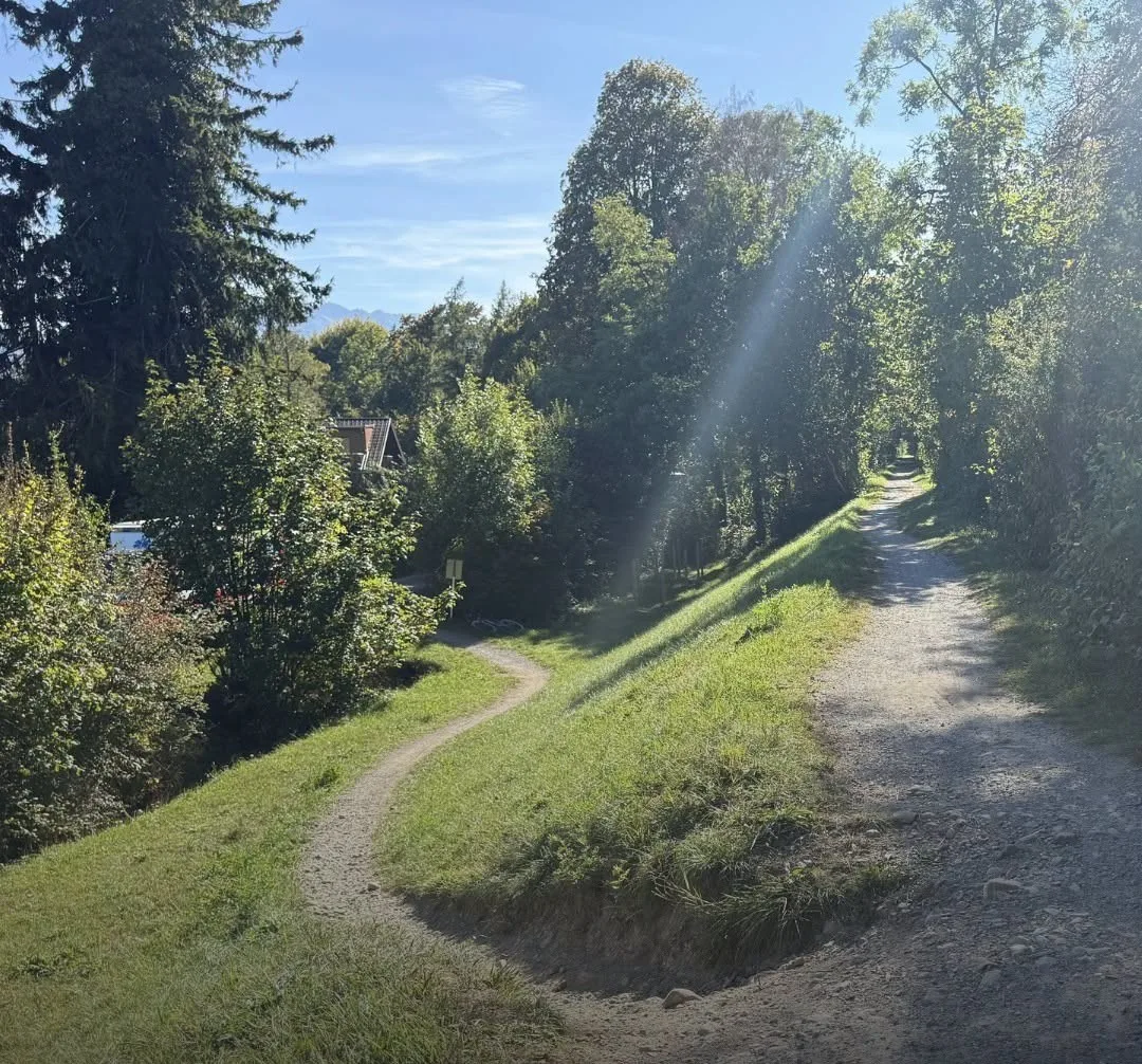Ein schmaler Wanderweg führt durch einen Wald, beleuchtet von Sonnenstrahlen an einem klaren Tag.