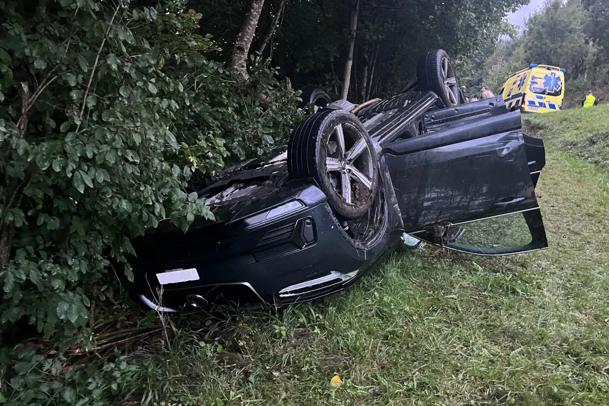 Ein Auto liegt auf dem Dach im Graben, umgeben von Bäumen und Gestrüpp. Im Hintergrund steht ein Rettungsfahrzeug.