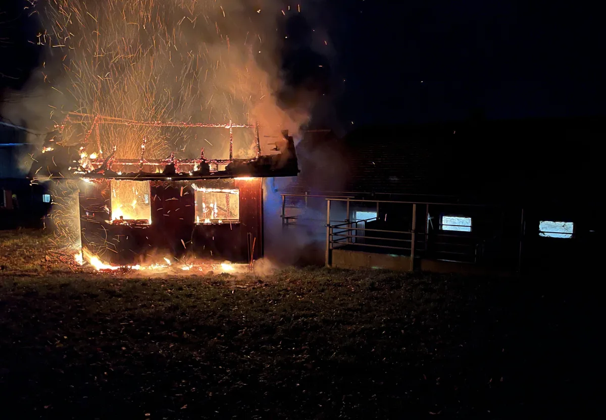 Buttisholz LU - Brand eines Bienenhauses - Heisse Asche als Brandursache 