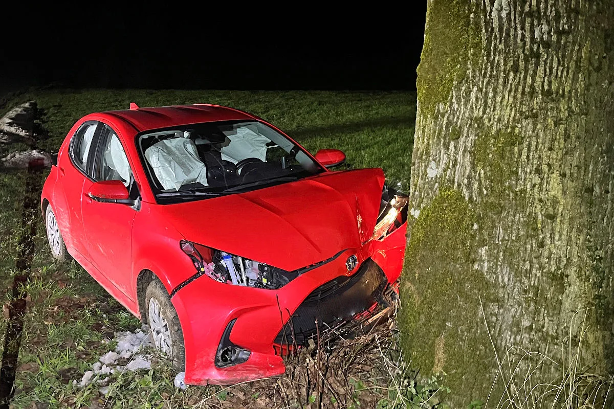 Bodelwitz TH – Autofahrer kollidiert mit Baum und flüchtet