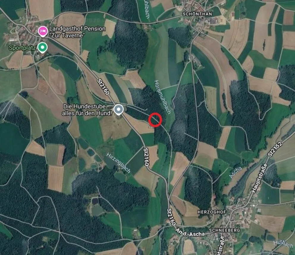 Das Bild zeigt eine ländliche Gegend nahe Schönthan. Eine Landstraße ist rot markiert, vermutlich der Unfallort.