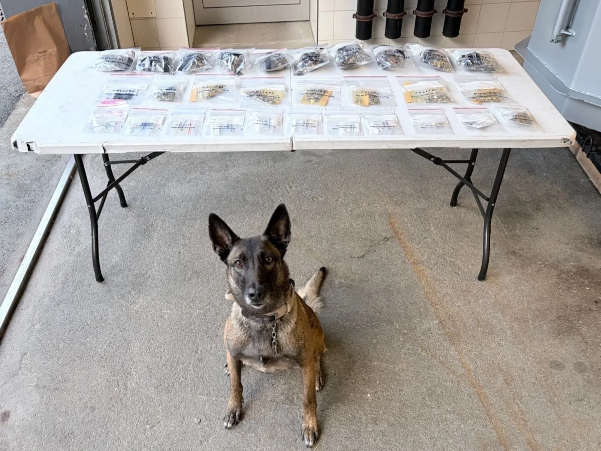 Ein Polizeihund sitzt vor einem Tisch, der mit beschlagnahmten Plastiktüten gefüllt ist. Diese enthalten verschiedene unbekannte Gegenstände oder Substanzen.
