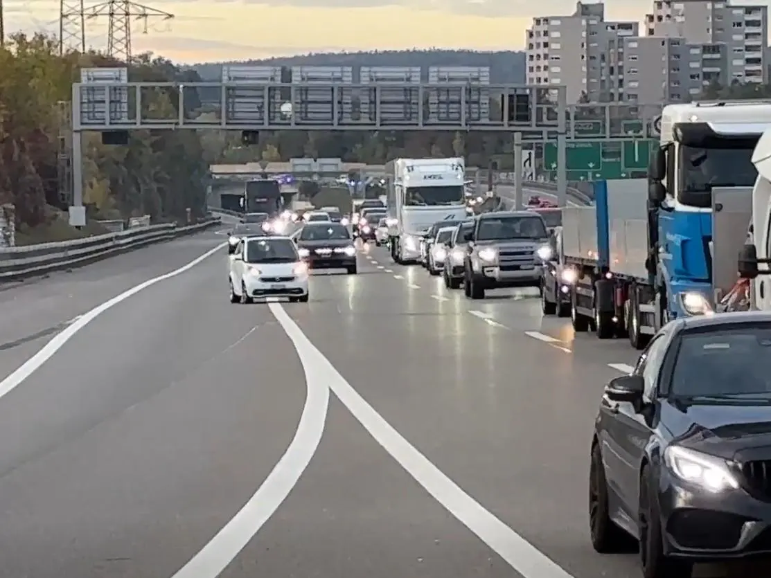 Auf einer Autobahn fahren mehrere Fahrzeuge in geordneter Richtung, während ein weißes Auto in entgegenkommender Richtung zu sehen ist, was zu einem Stau führt.