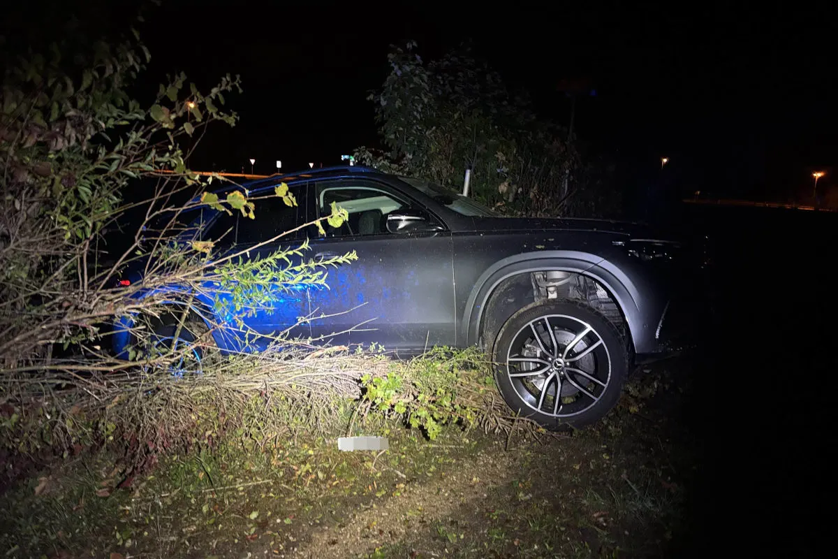 Ein dunkles Fahrzeug ist seitlich in dichtes Gebüsch geraten. Es ist Nacht, die Szene wird durch Scheinwerfer beleuchtet.