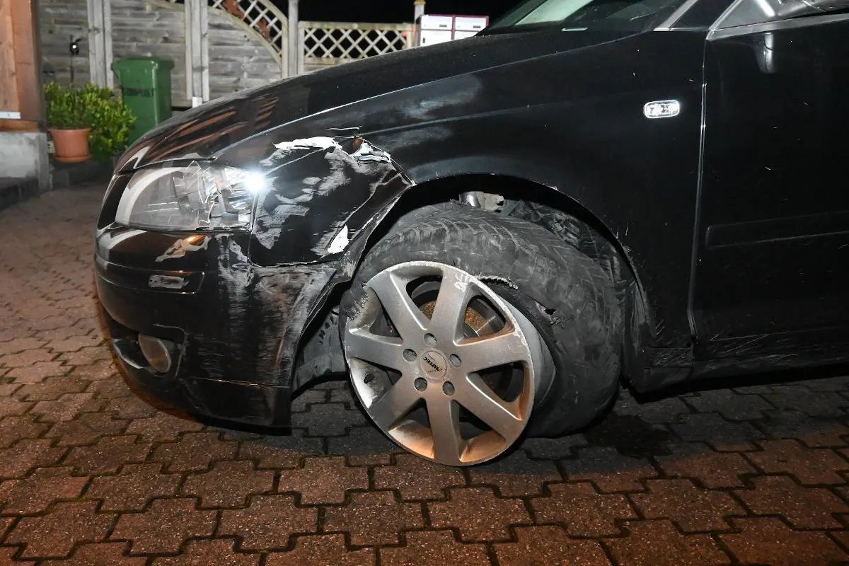 Schaan – Gegen mehrere Eisenpfosten und abgehauen